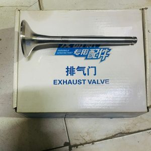 Sinotruk, Beiben, Shacman & Faw Intake Exhaust Valves